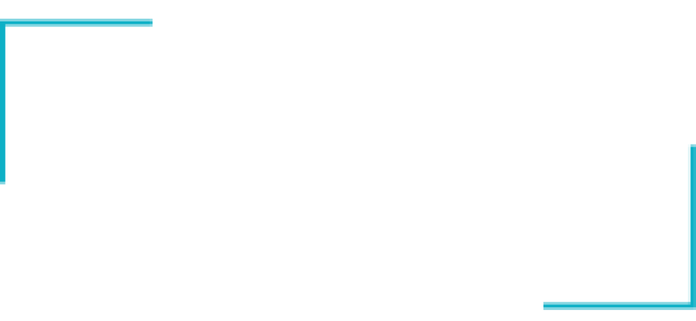 MDT-logo